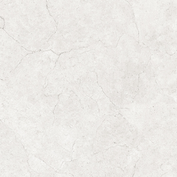 60MF11 (출시예정)