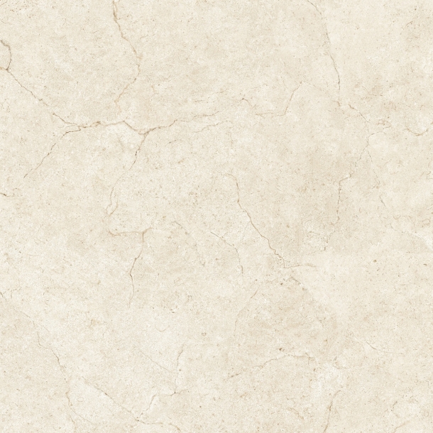 60MF12 (출시예정)